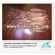 export dried squid supplier